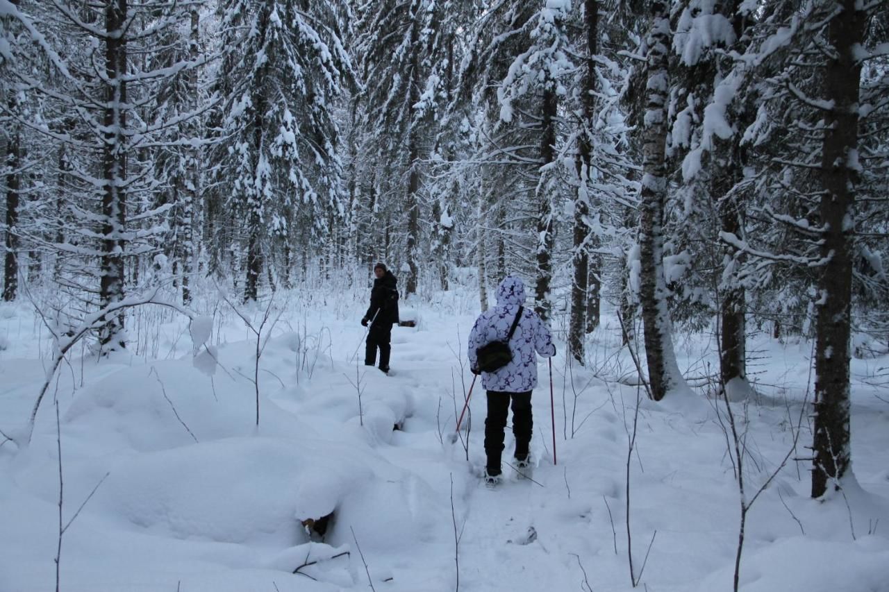 Дома для отпуска Accommodation and Fishing Vonkale Ээнекоски
